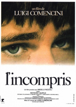 poster L'incompris  (1966)